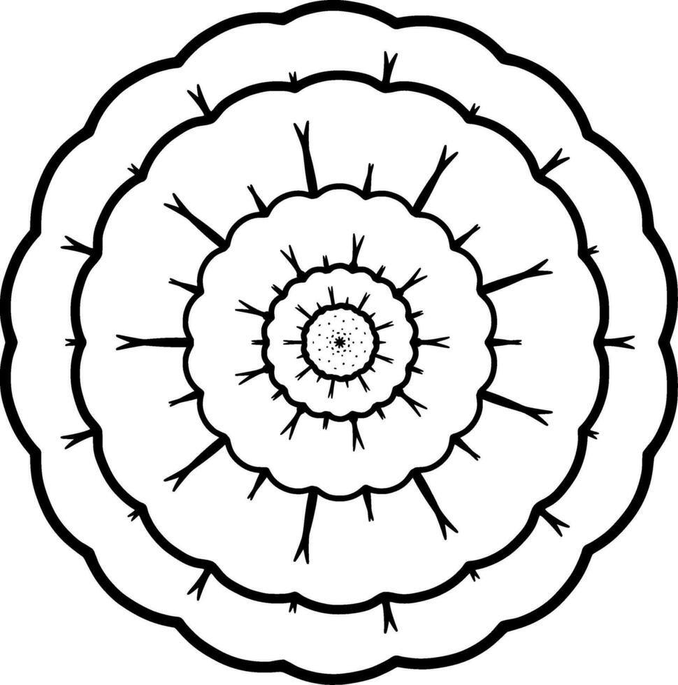 einfarbig ethnisch Mandala Design. Anti-Stress Färbung Seite zum Erwachsene. Hand gezeichnet schwarz und Weiß Vektor Illustration