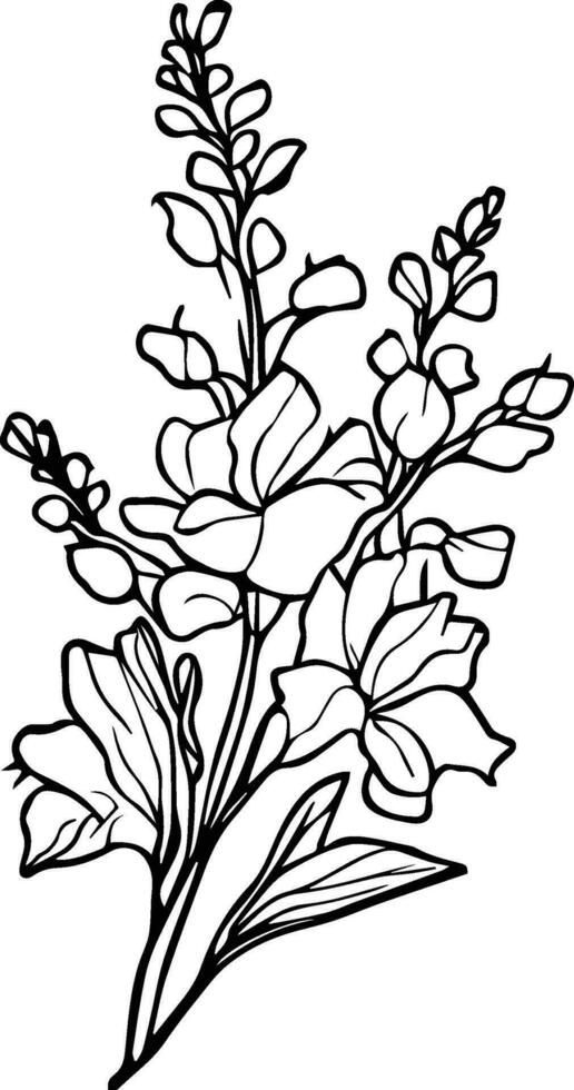 Rittersporn Juli Blume Tätowierung, Juli Geburt Blume Tätowierung, schwarz Juli Geburt Blume Rittersporn Tätowierung, wissenschaftlich Rittersporn botanisch Illustration, druckbar Blumen, Rittersporn Färbung Blatt. Vektor Kunst