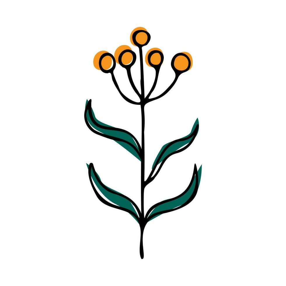 vektor tecknad serie teckning av en blomma. agapanthus klotter med färgad fläckar på en vit bakgrund.eps