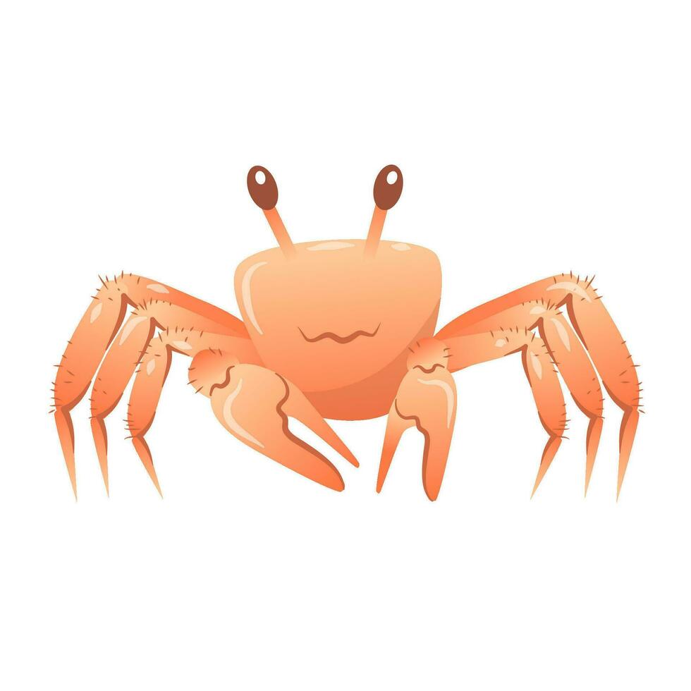 Vektor Karikatur Illustration von ein süß Krabbe erziehen es ist Krallen isoliert auf ein Weiß Hintergrund.