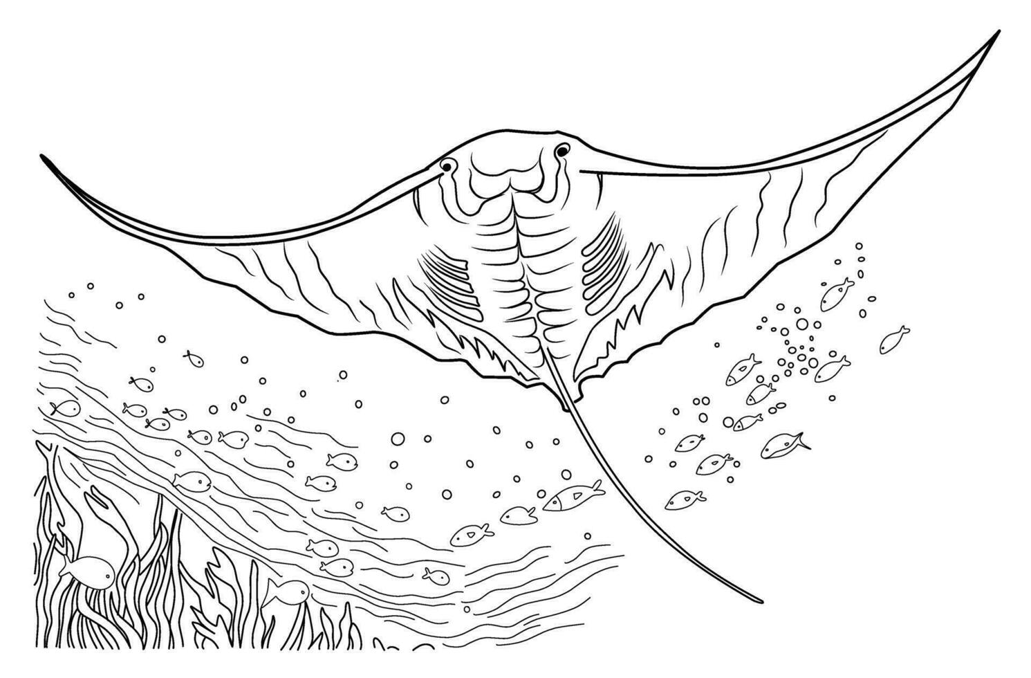 djup hav manta stråle färg sida. tecknad serie stingrocka linjär illustration för färg vektor