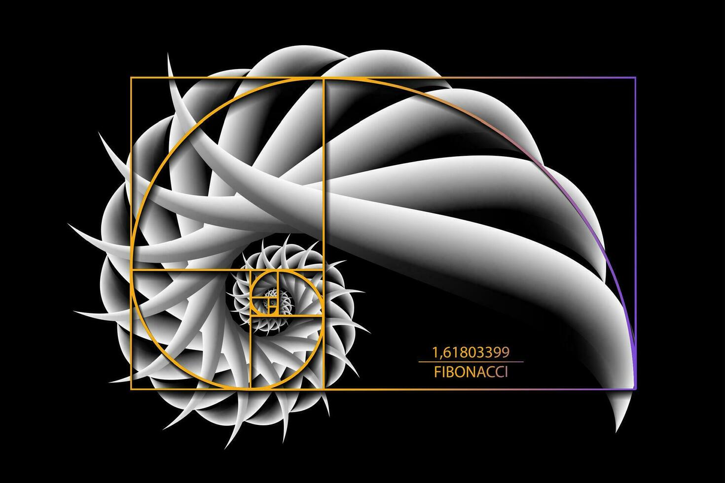 Fibonacci Reihenfolge golden Verhältnis. geometrisch Formen Spiral. 3d Schnecke Spiral. Meer Schale von Weiß Kreise. heilig Geometrie Logo Vorlage. Vektor isoliert auf schwarz Hintergrund