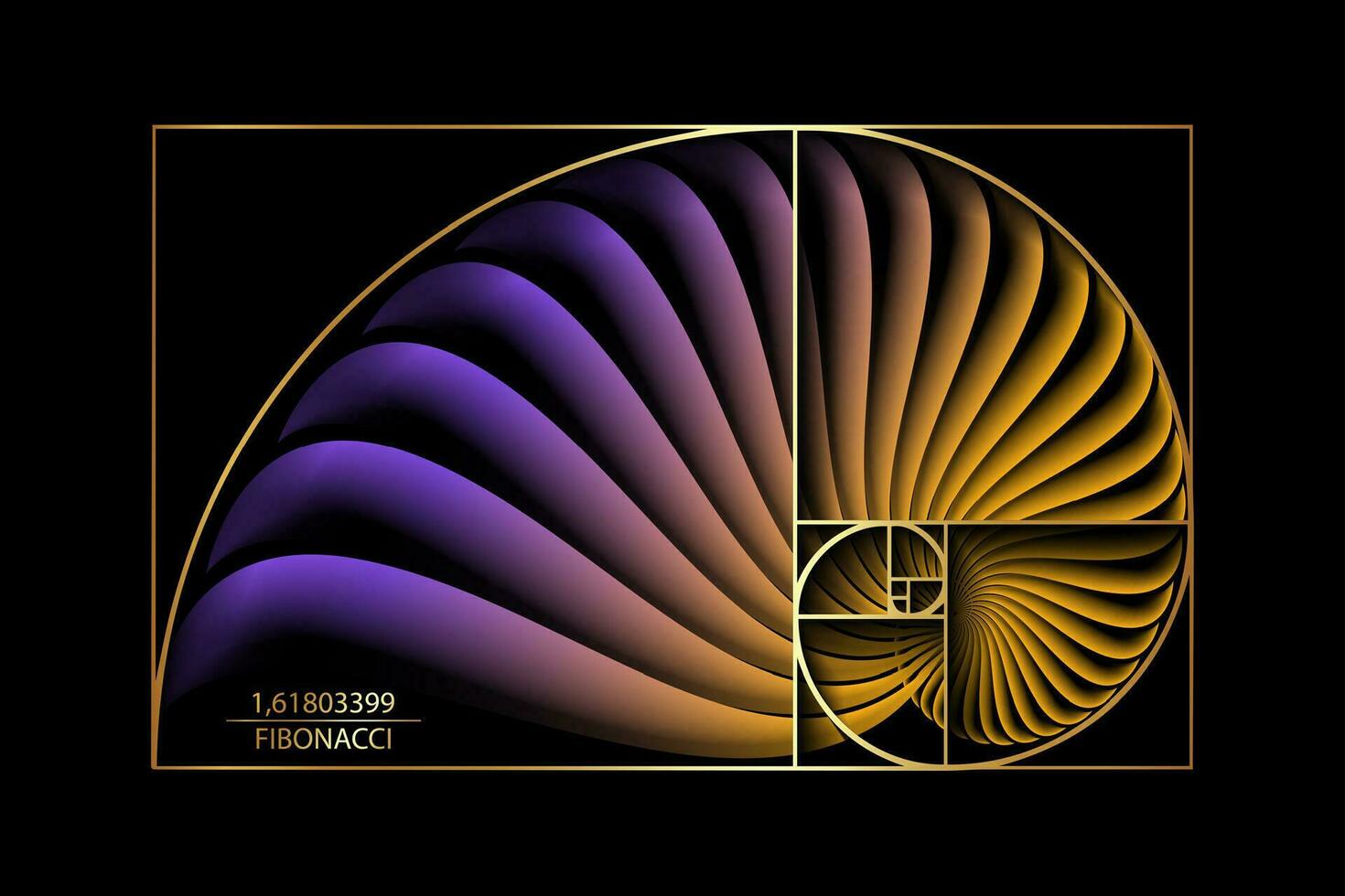 Fibonacci sekvens gyllene förhållande. guld geometrisk former spiral. färgrik snigel spiral. hav skal av vit cirklar. helig geometri logotyp mall. vektor isolerat på svart bakgrund
