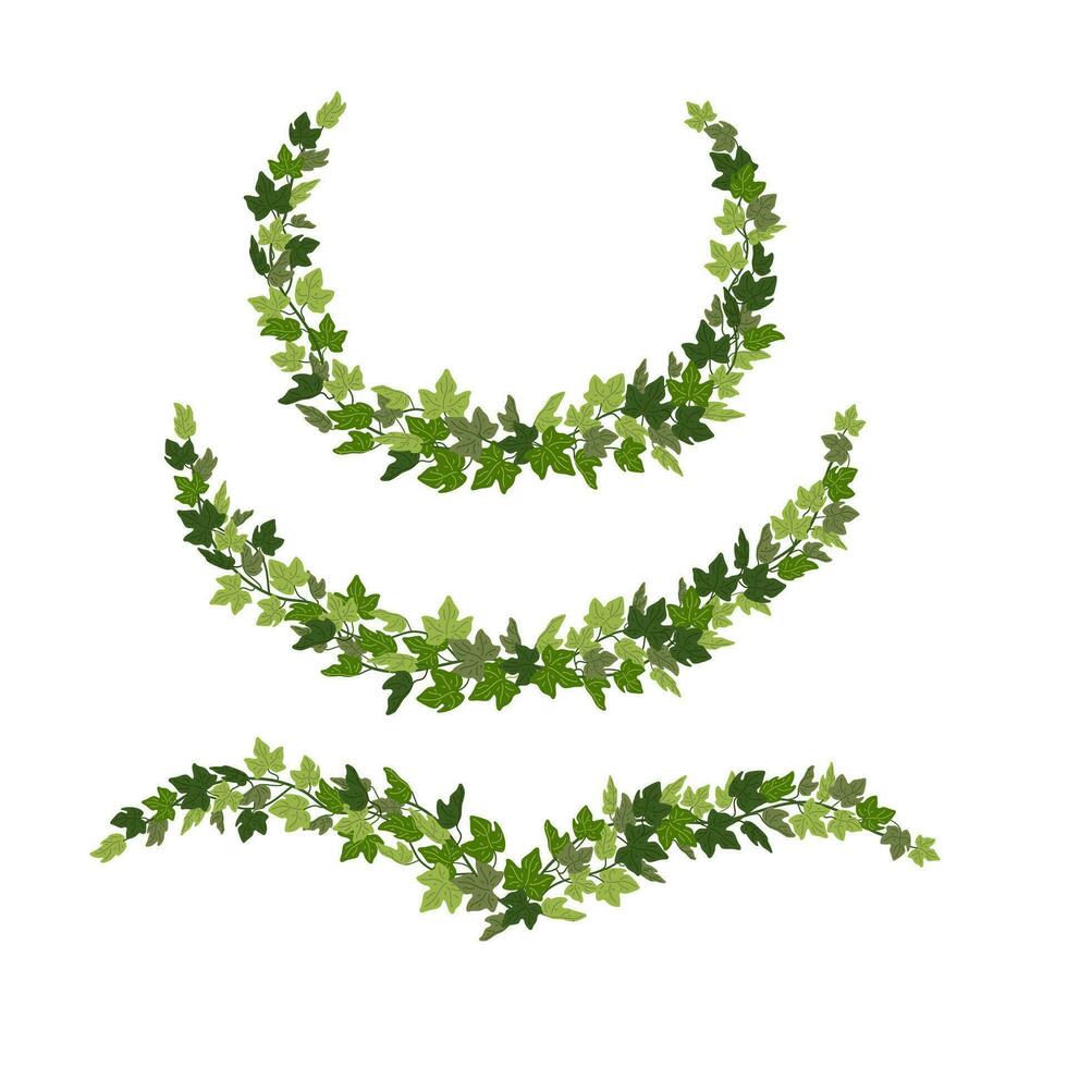 Efeu Kränze, Grün Kriechpflanze dekorativ Design Elemente isoliert auf Weiß Hintergrund. Vektor Illustration im eben Karikatur Stil.