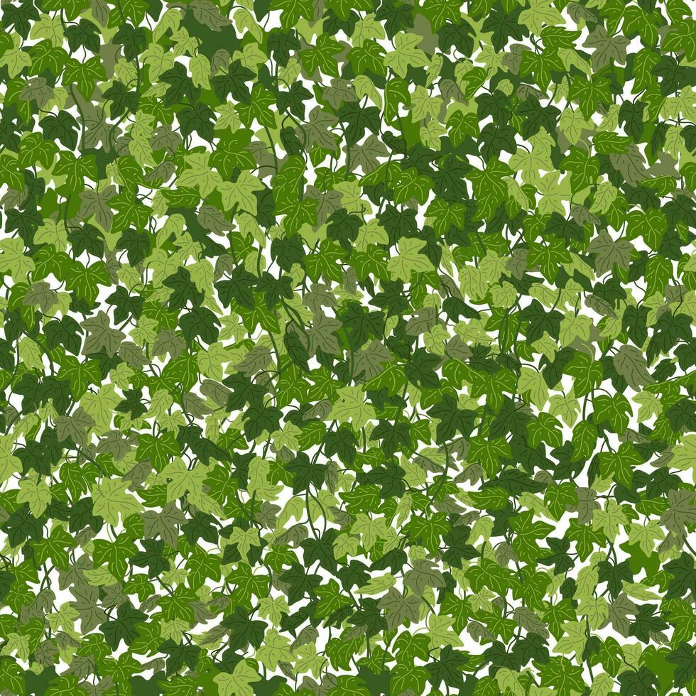 Efeu Hintergrund, Grün Kriechpflanze Reben Vorhang. Vektor Illustration im eben Karikatur Stil.