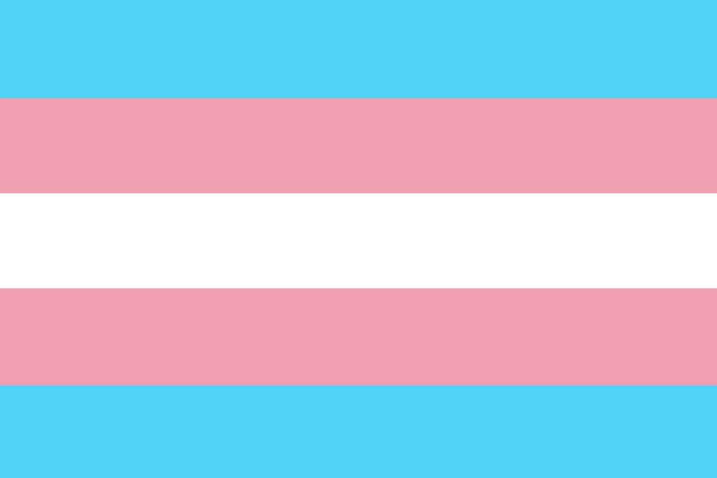 Transgender Flagge. Symbol Bewegung lgbt. Element von Sexual- Minderheiten, Schwule und Lesben. Vektor Illustration.