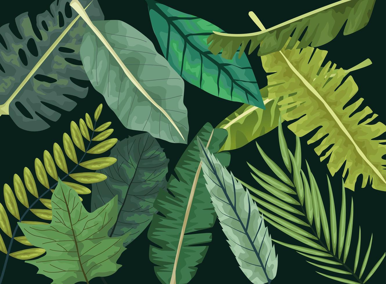 tropiska blad botaniska mönster bakgrundsdesign vektor