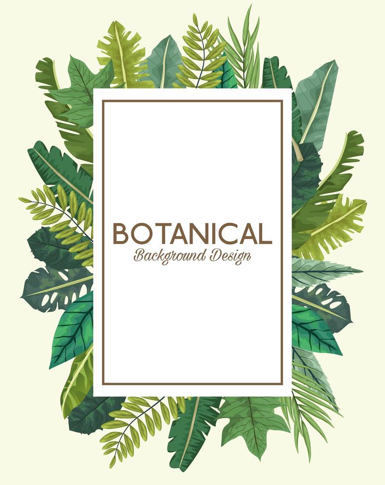 tropiska blad i fyrkantig ram och bokstäver botanisk bakgrundsdesign vektor