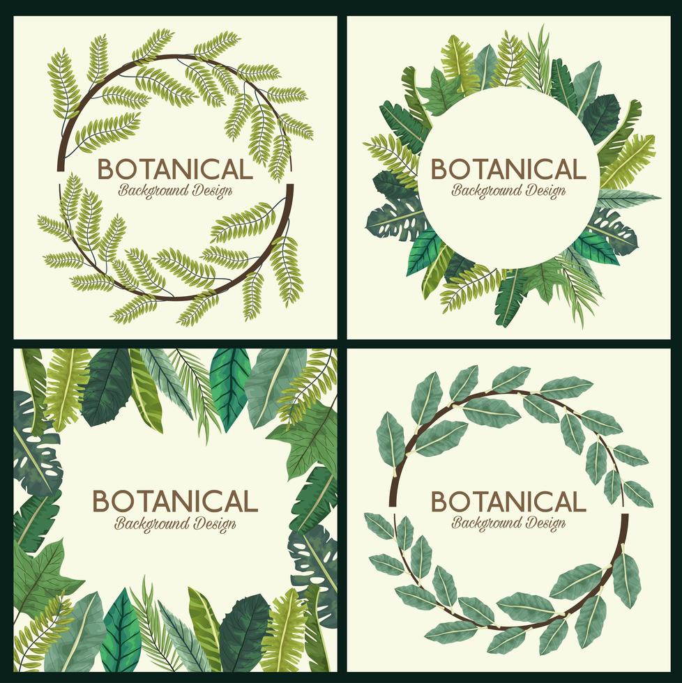 tropiska blad i ramar och bokstäver botaniska bakgrundsdesigner vektor