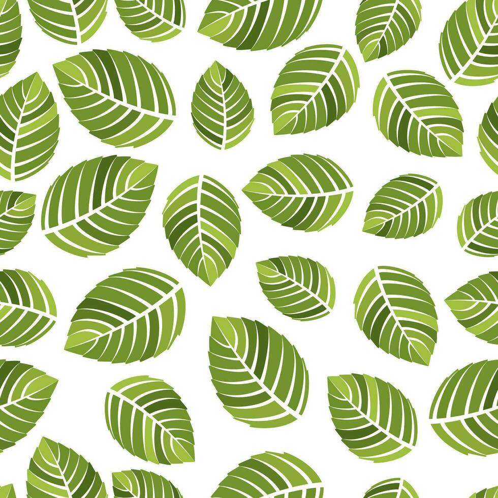 mynta vektor illustration sömlös textur. pepparmynta mentol löv isolerat på vit bakgrund. blad grönmynta växt