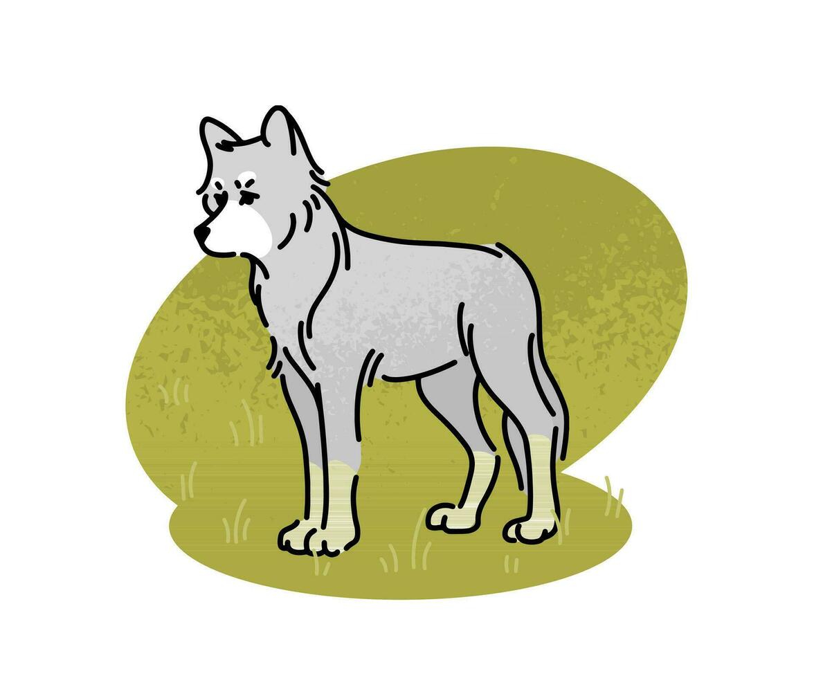eben Vektor Illustration von ein grau Wolf. ein groß wild Tier, ein Einwohner von das Wald, isoliert auf ein Weiß Hintergrund. fleischfressend Säugetier, Tierwelt.