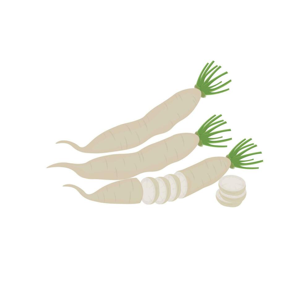 Schnitt Daikon Rettich Gemüse Illustration Logo vektor