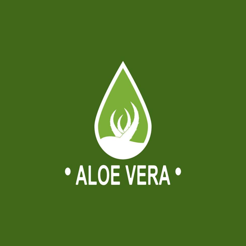 Aloe vera Logo Illustration Vorlage Design vektor