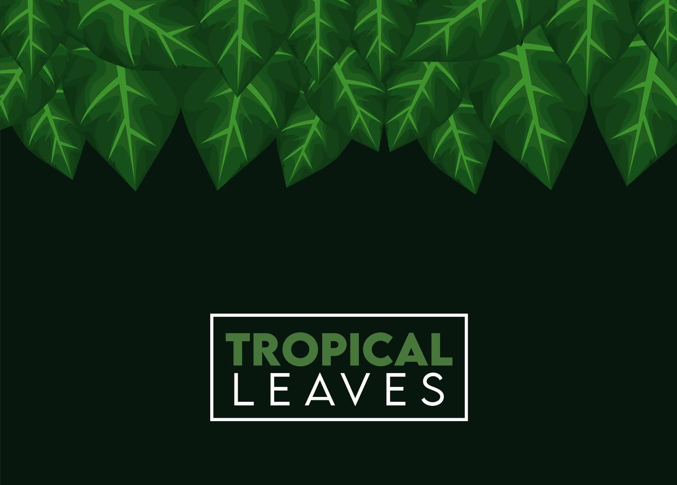 tropiska blad bokstäver affisch med blad fyrkantig ram vektor