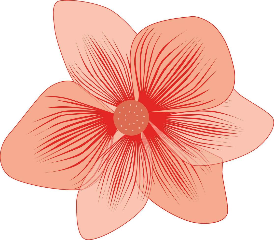 Vektor Illustration von schön Frangipaniplumeria Blume.