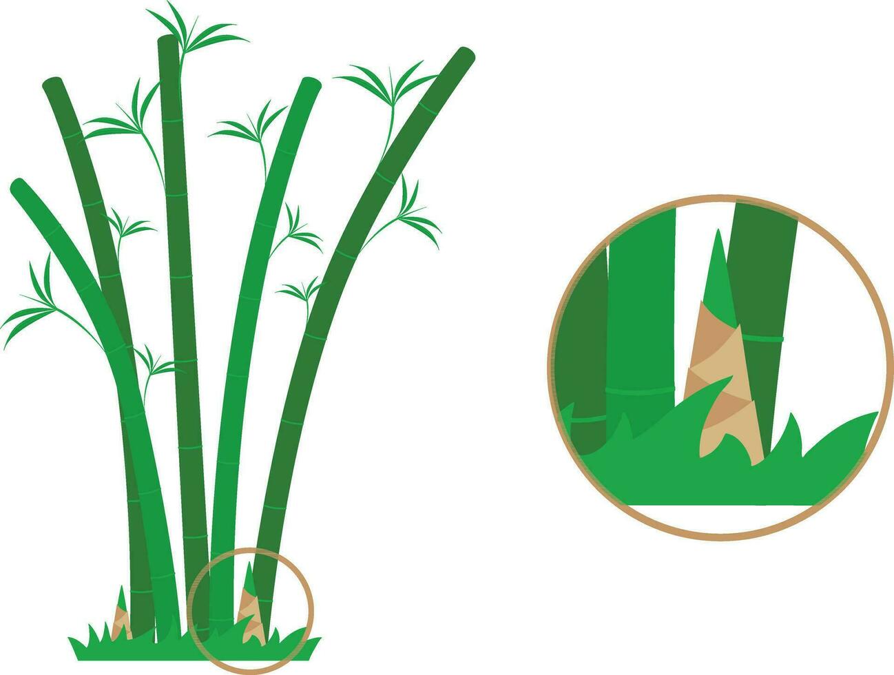 bambu ikon uppsättning. vektor illustration av grön bambu isolerat på vit bakgrund.