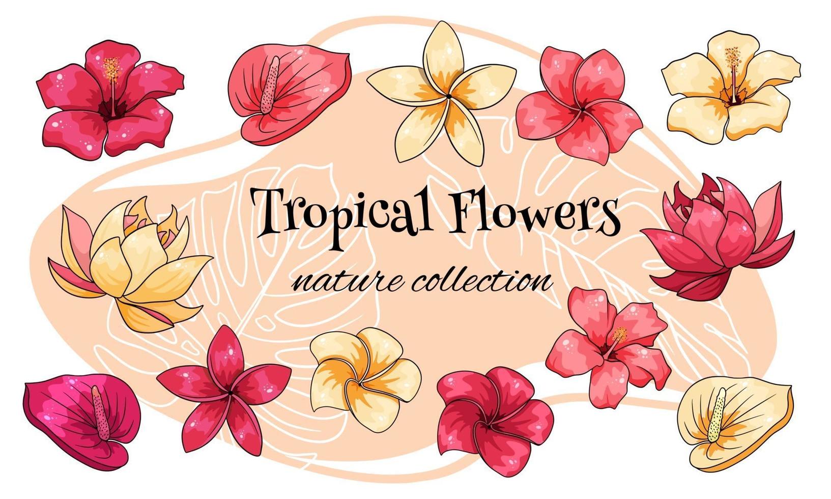 tropisk samling med exotiska blommor i tecknad stil vektor
