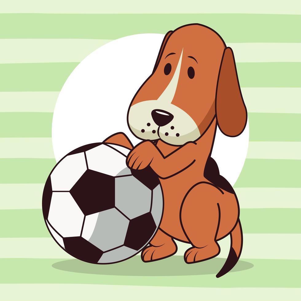 süßer Hund mit Fußballballon-Symbol vektor