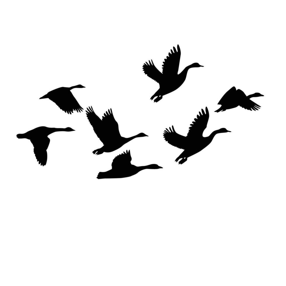 Kanada Gans Silhouette Design. wild Ente fliegend im Gruppe. vektor