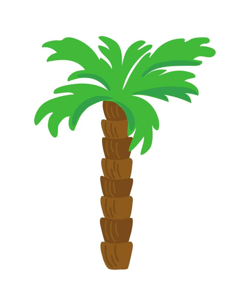 Palme Baum tropisch Pflanze im einfach Stil Vektor Illustration, Strand Grün, exotisch Urwald zum Herstellung Karte, Einladung, Sommer- Stimmung Deko