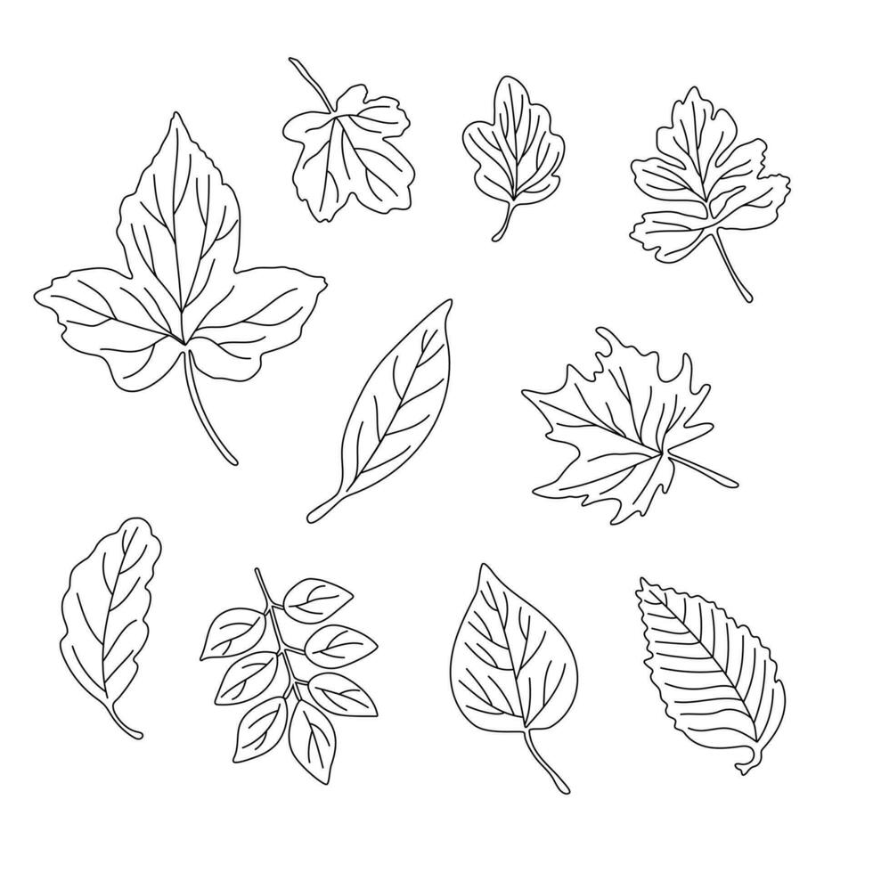 löv enkel vektor minimalistisk begrepp översikt illustration, tunn linje hand dragen naturlig blommig element uppsättning, element för inbjudningar, hälsning kort, häfte desi