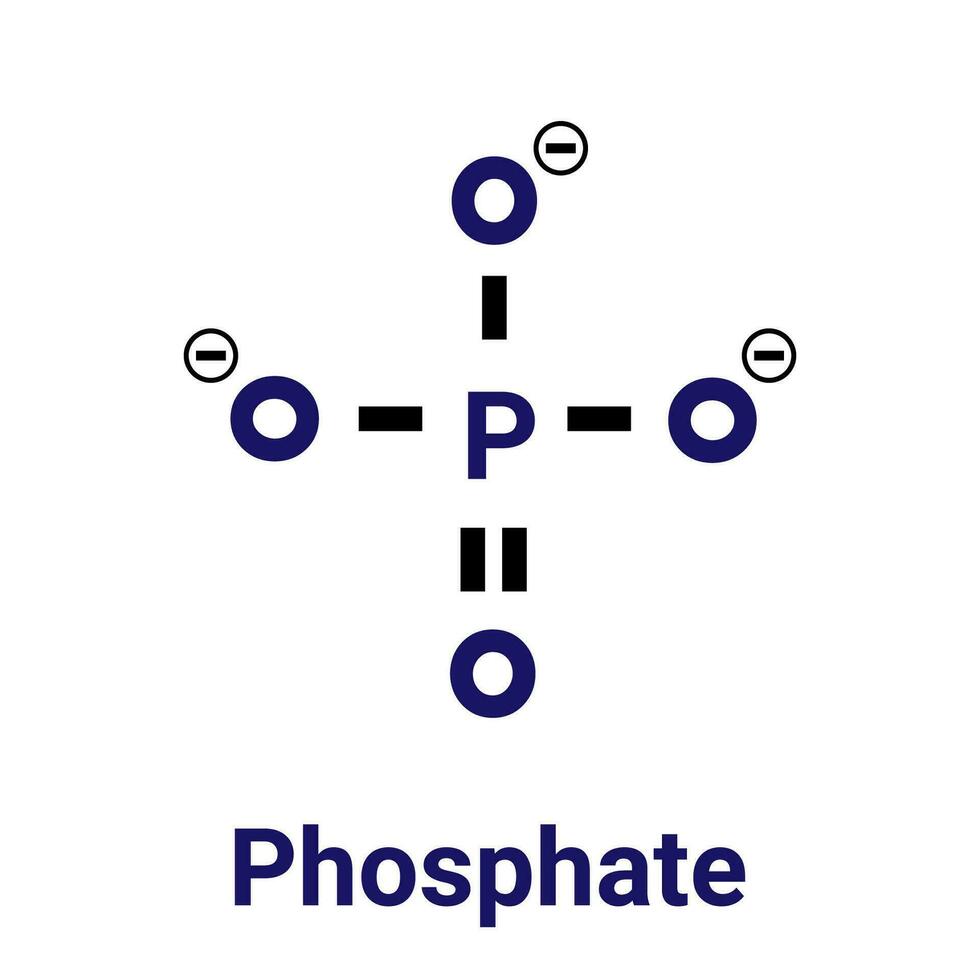 kemisk strukturera av fosfat anjon. vektor skelett- formel.