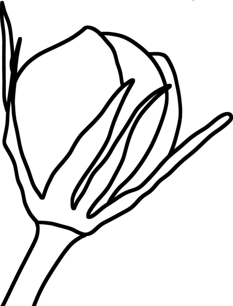 skiss av blomma knopp vektor