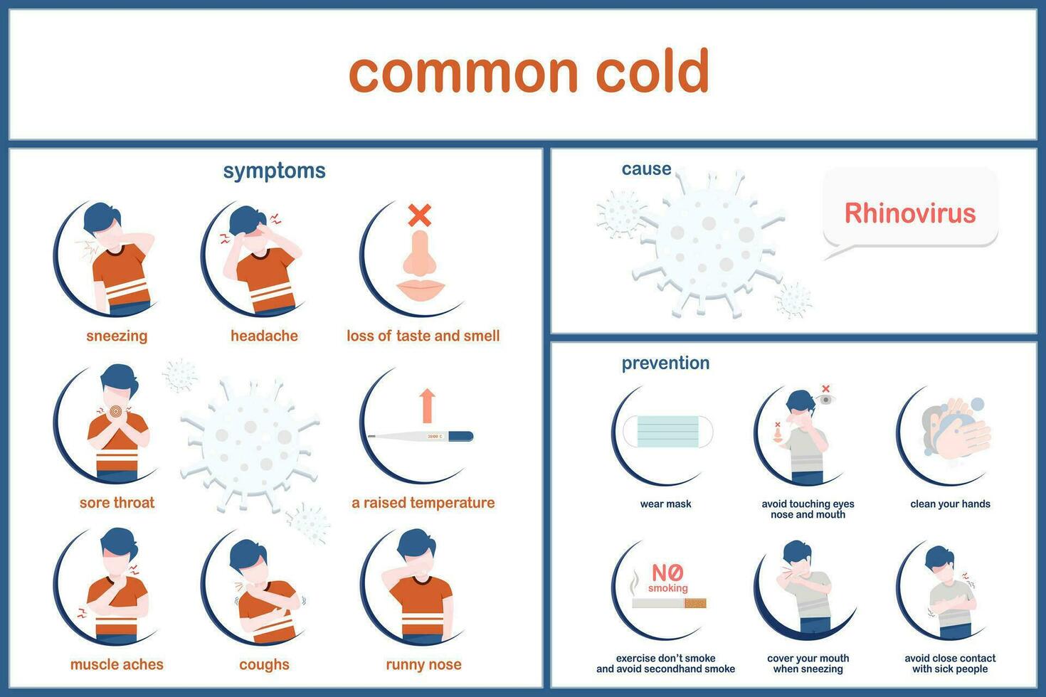 infographic illustration av symptom av allmänning kall. influensa förebyggande och orsaker av infektion.vektor illustration. platt stil. vektor