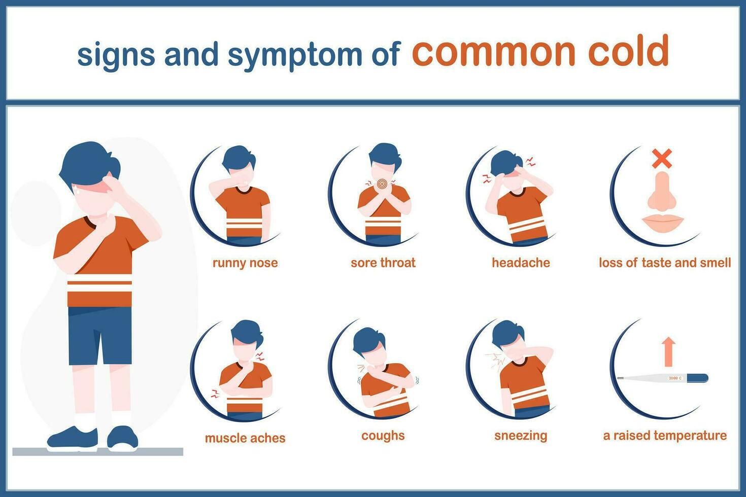 Infografik Illustration von Symptome von verbreitet kalter Vektor Illustration. eben Stil.