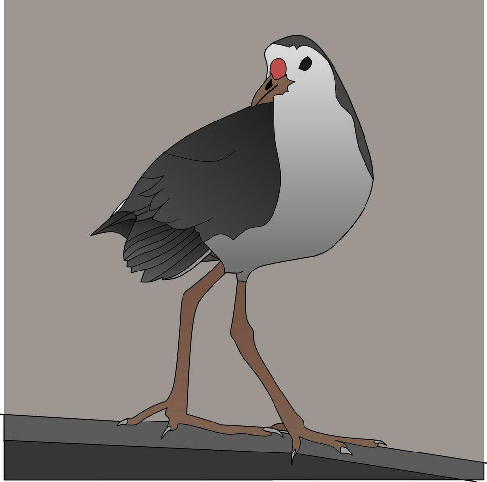 Maleo Vogel Vektor