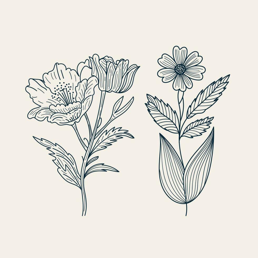 Hand gezeichnet Blumen Strauß Wildblumen einstellen botanisch Blumen- Blätter tätowieren Gekritzel Gliederung Zeichnungen skizzieren Linie Kunst Vektor Illustration