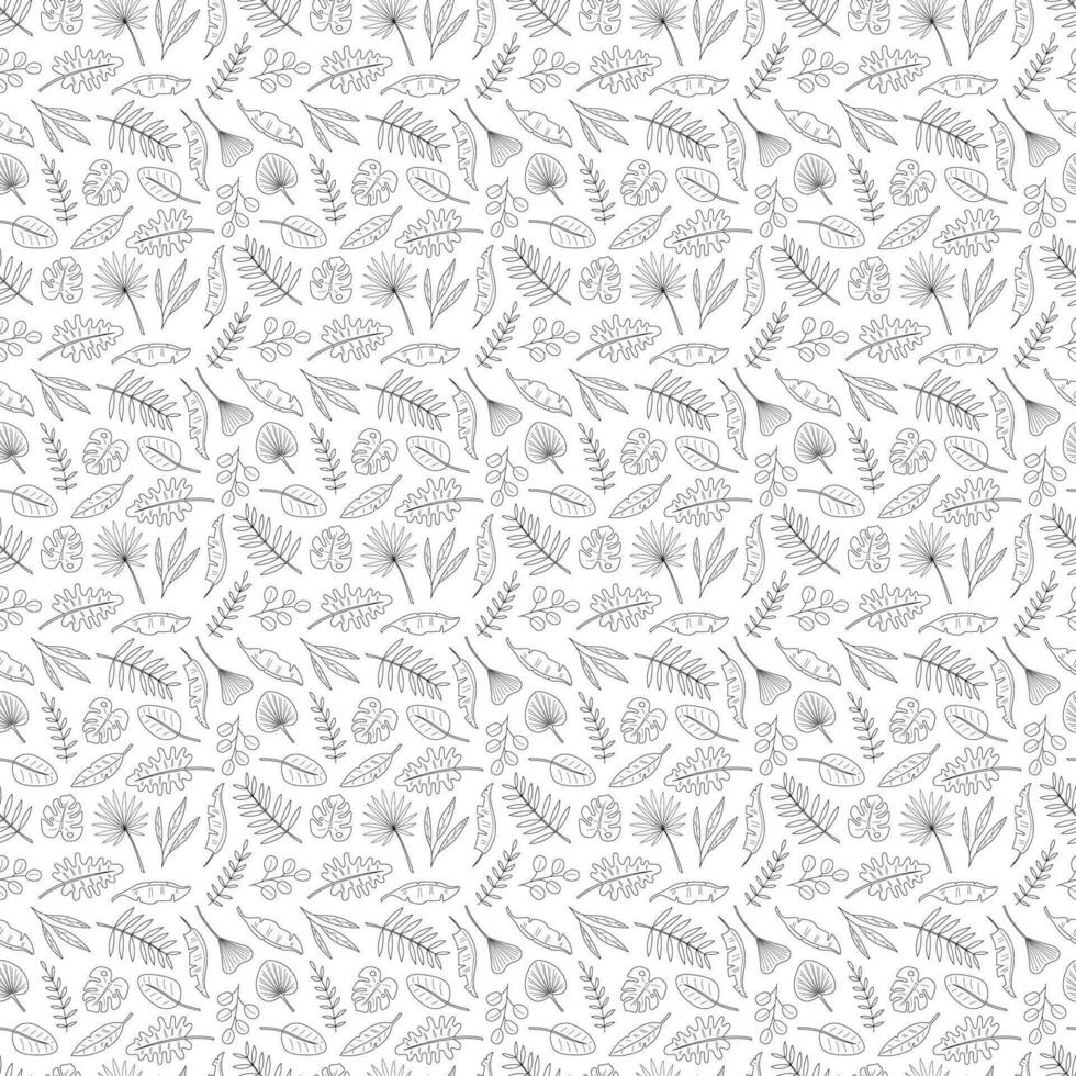 sömlös mönster med 13 annorlunda handflatan löv. klotter svart och vit vektor illustration.