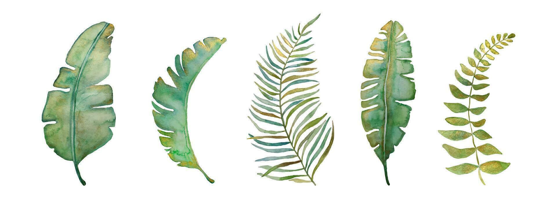 Palme und tropisch Aquarell Blätter Satz. Aquarell mit Gold. Vektor Illustration.