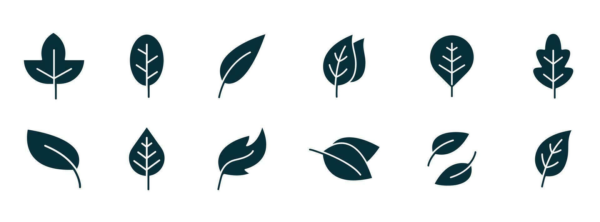 blad ikon. vektor illustrationer av botanik, ört, ekologi, bio, organisk, vegetarian, eko, färsk, och naturlig ikon uppsättning