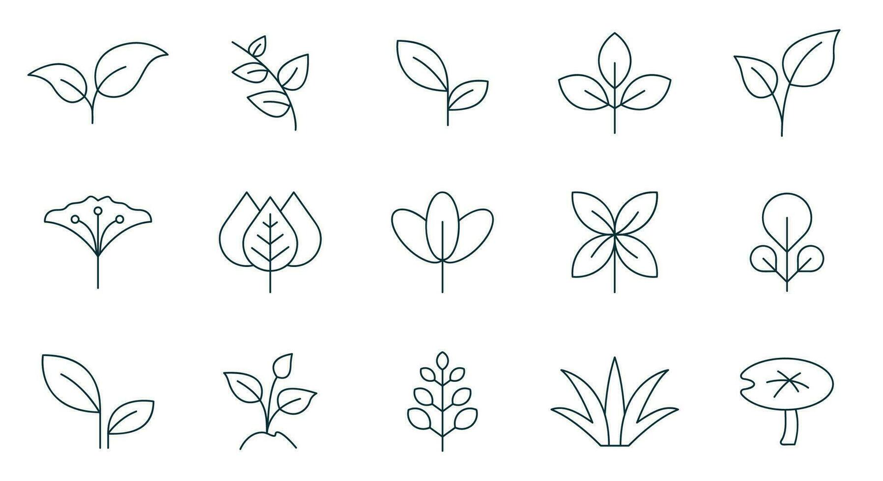 Blatt Symbol einstellen Linie Stil. Blätter von Bäume und Pflanzen, Blätter Symbol Sammlung, Design zum natürlich, Öko, bio, und vegan Etiketten. Vektor Illustration.