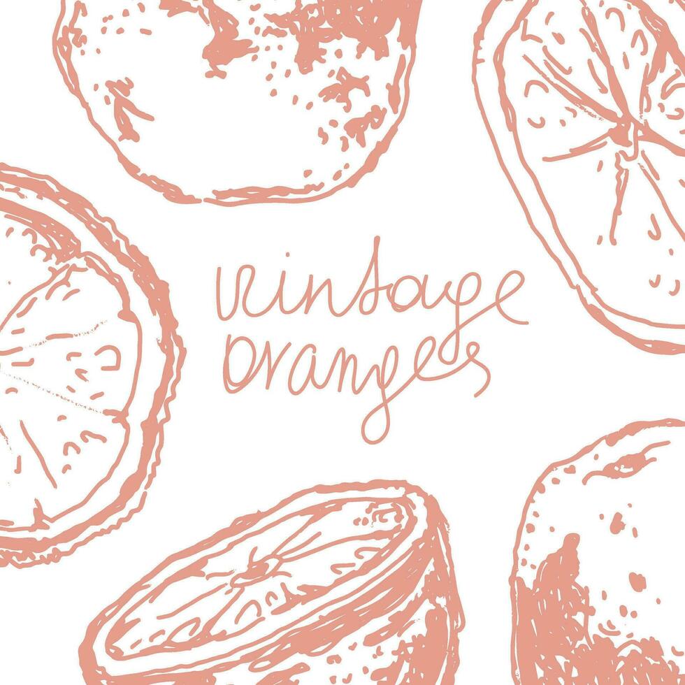 Orange im skizzieren Stil, Banner Hintergrund. vektor