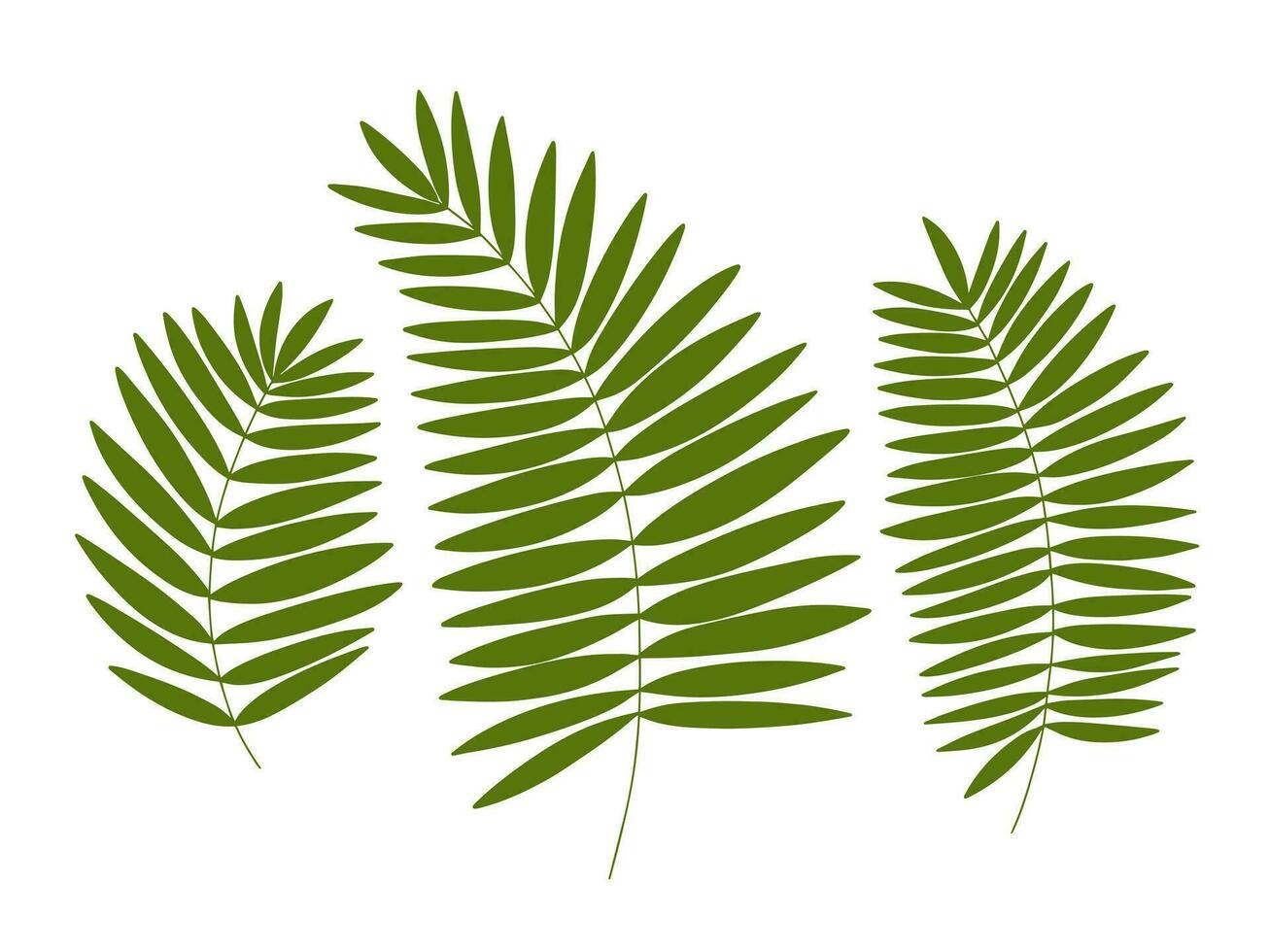 Palme Baum Blätter Satz. Vektor Palme Baum Blätter eben einstellen
