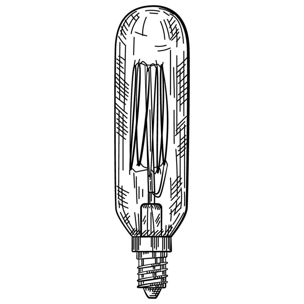 hand dragen ljus Glödlampa i årgång graverat stil. elektrisk lampa skiss. vektor