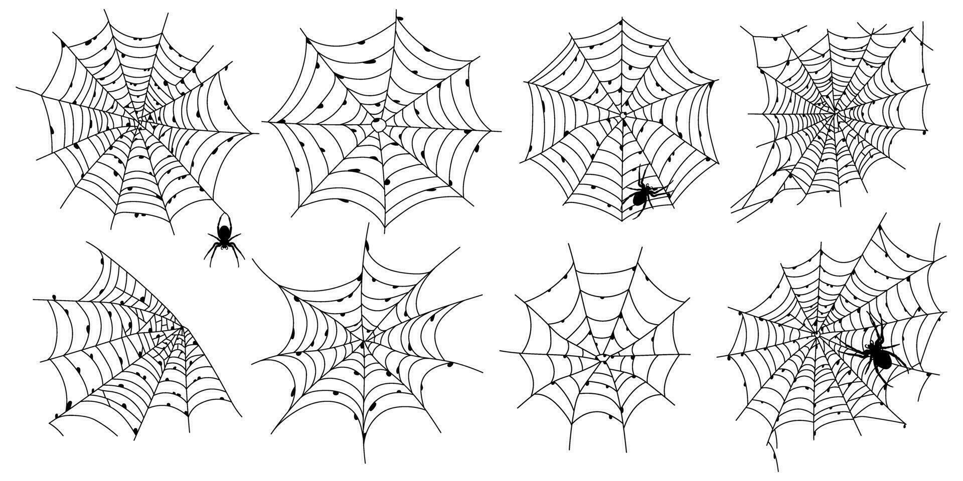 uppsättning av skrämmande svart Spindel webb isolerat på vit. läskigt halloween dekoration. översikt spindelnät vektor