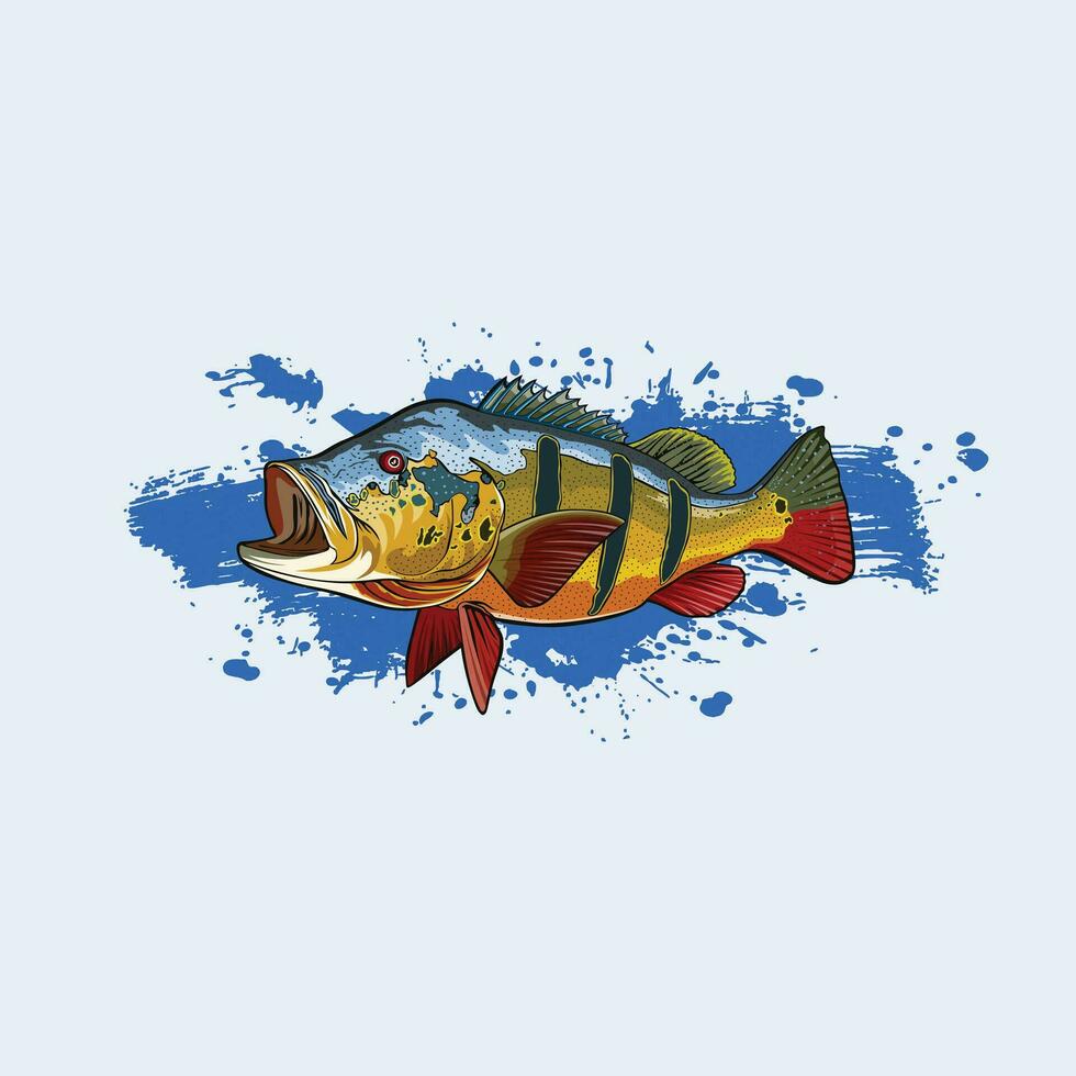 Pfau Bass Fisch Illustration hoch detailliert vektor