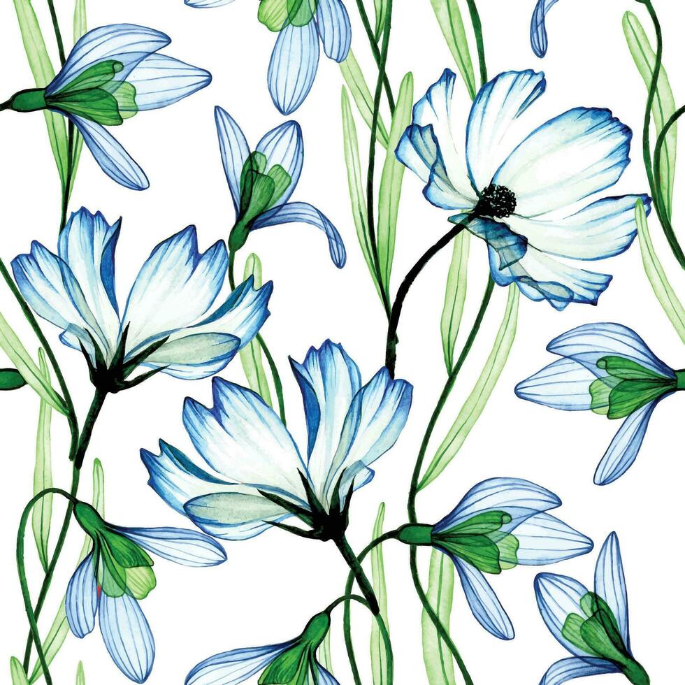 Aquarell Zeichnung. nahtlos Muster, drucken von transparent Blumen. Frühling Blau Blumen auf ein Weiß Hintergrund, Röntgen vektor