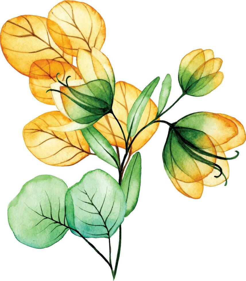 Aquarell Zeichnung. Strauß, Herbst Komposition von transparent Blumen und Eukalyptus Blätter. Gelb und Grün Blätter vektor