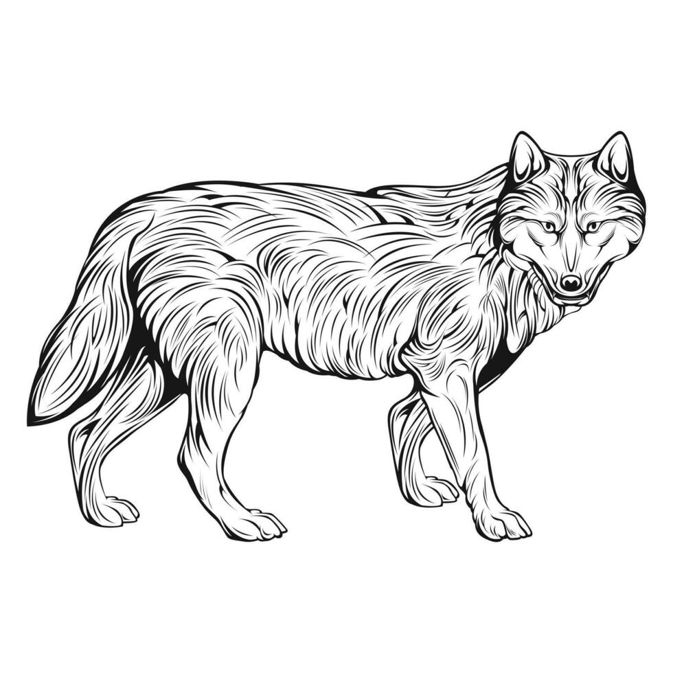 Wolf Hand gezeichnet Vektor Design