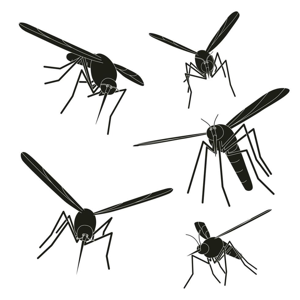 flygande mygg på en vit bakgrund. vektor