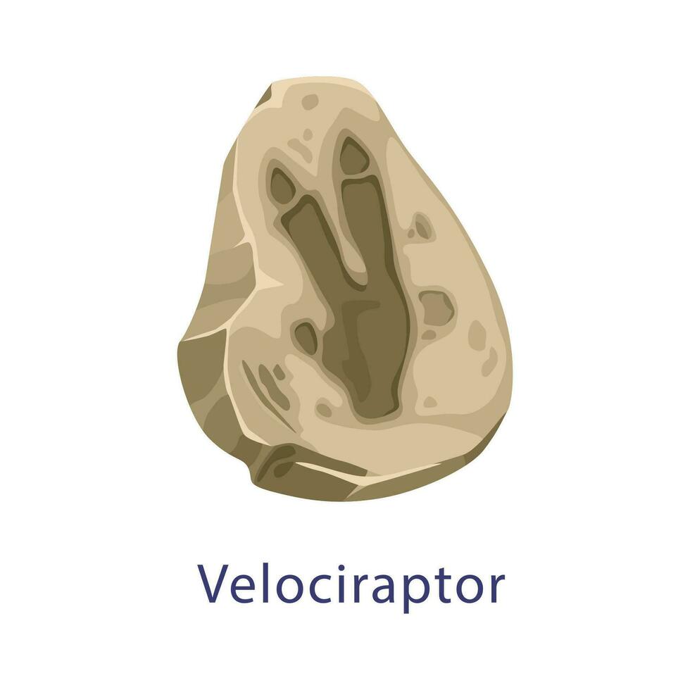 dinosaurie fotavtryck, paleontologi museum fossil vektor