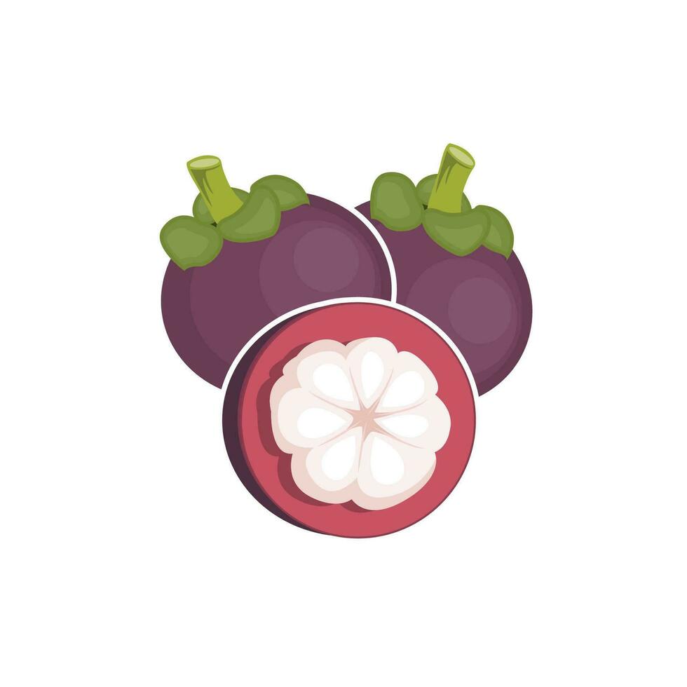 Mangostan Logo, Gesundheit Obst Design, Garten Farmer Vektor, Symbol Element Vorlage vektor