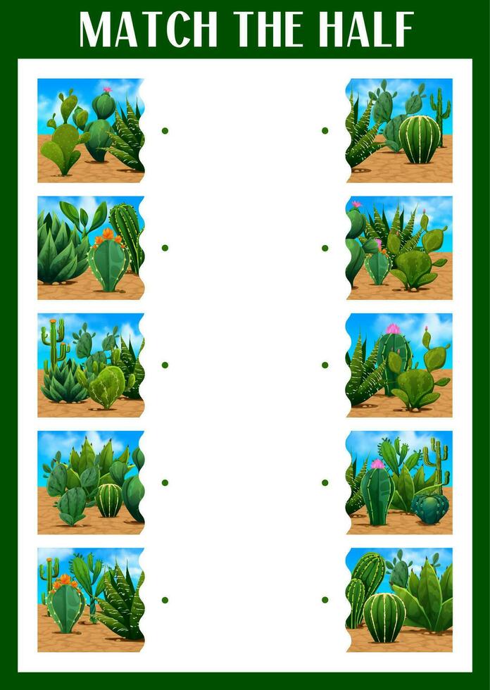 match de halv av mexikansk taggig kaktus saftig vektor