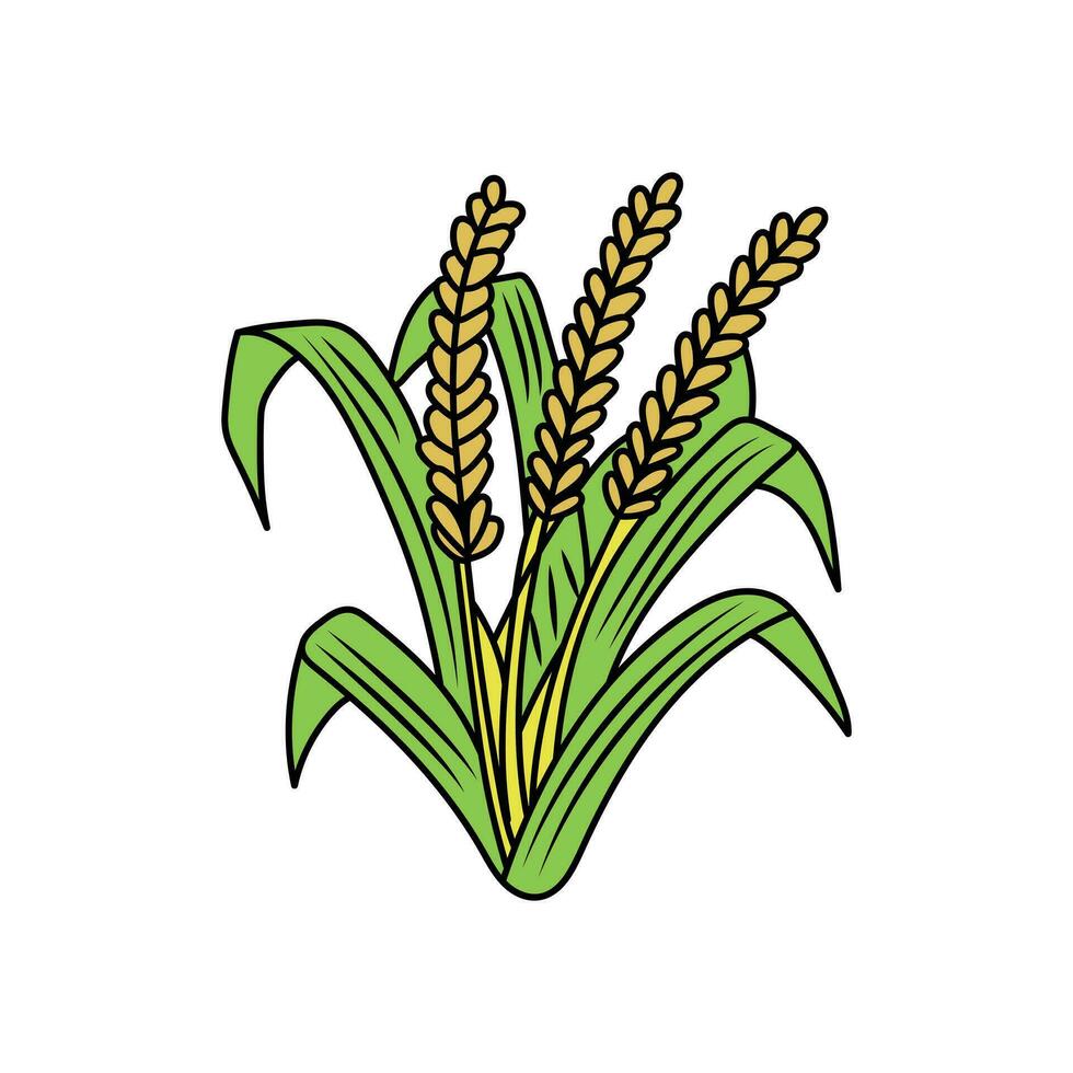 Kinder Zeichnung Karikatur Vektor Illustration süß Weizen Pflanze Symbol isoliert auf Weiß Hintergrund