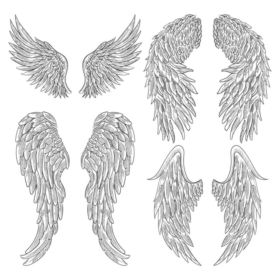 heraldisch Flügel einstellen zum tätowieren oder Maskottchen Design. isoliert auf Weiß Hintergrund vektor