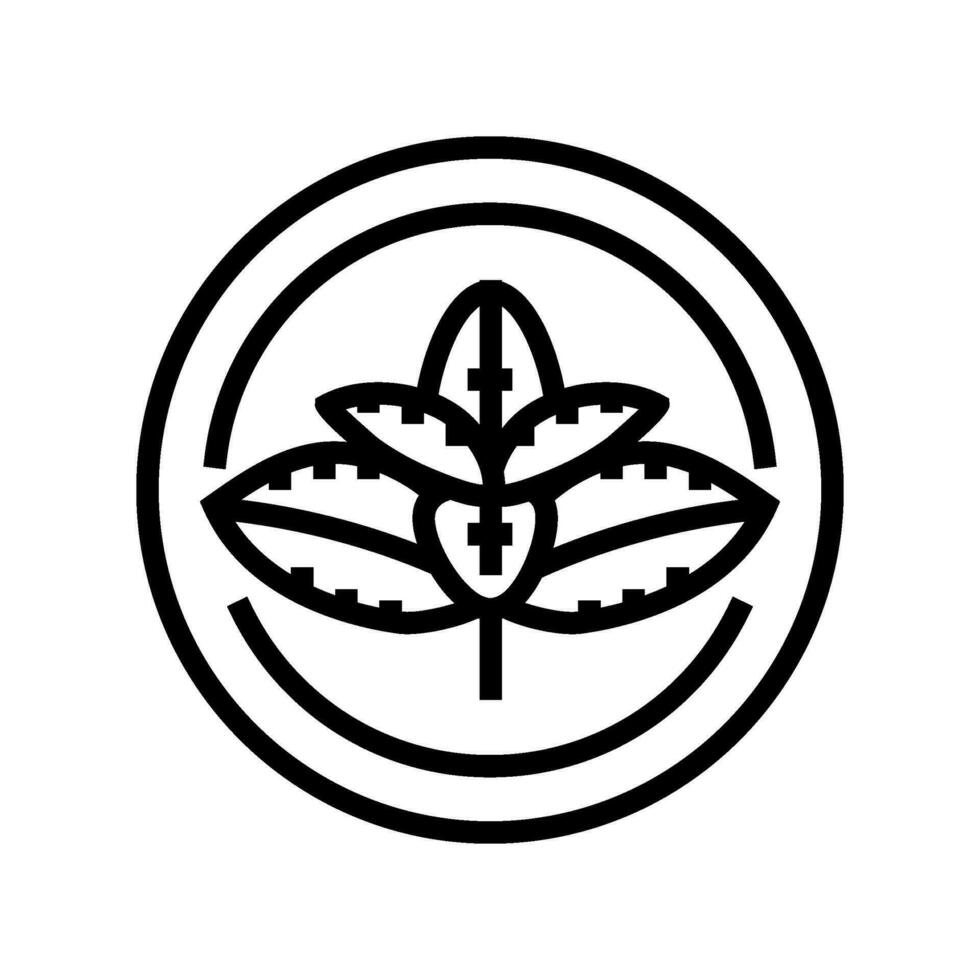 Minze kosmetisch Pflanze Linie Symbol Vektor Illustration